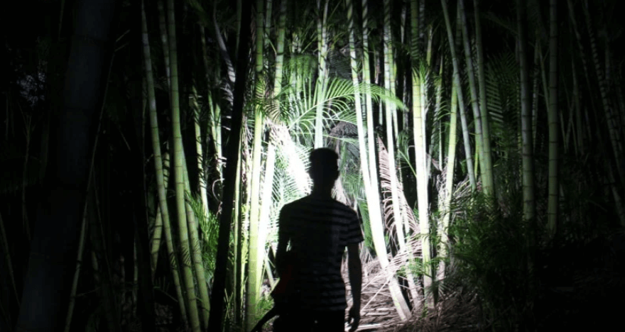 What Is the Best Headlamp for Camping and Thru-Hiking in 2026?