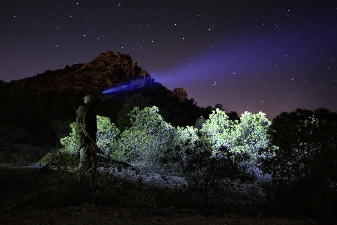 5 Best Headlamps for Bowhunting & Rifle Hunting at Night