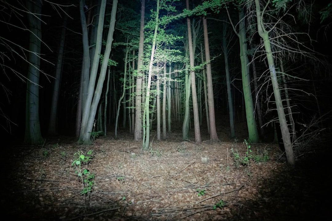 How to Track Blood Trails at Night: Best Colored Hunting Flashlights