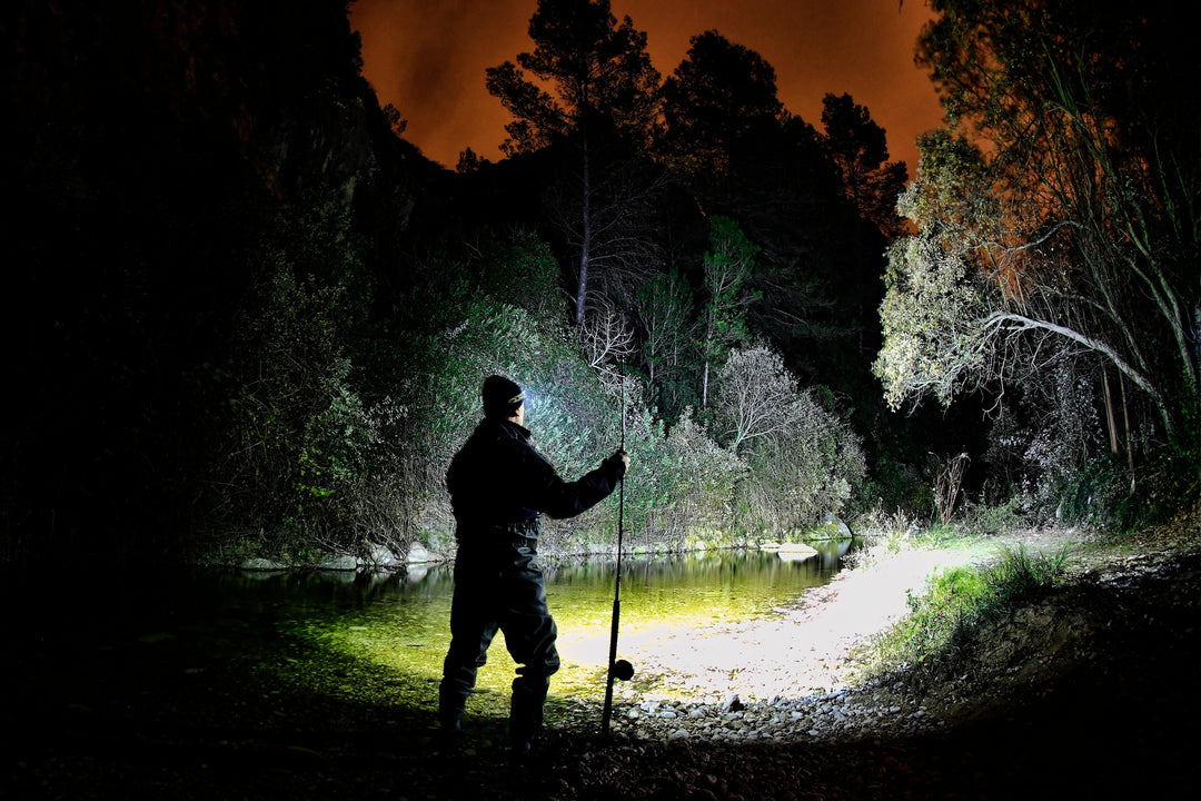 Night Fishing Lights: How to Choose the Right Fenix Light for Fishing After Dark - Fenix Store