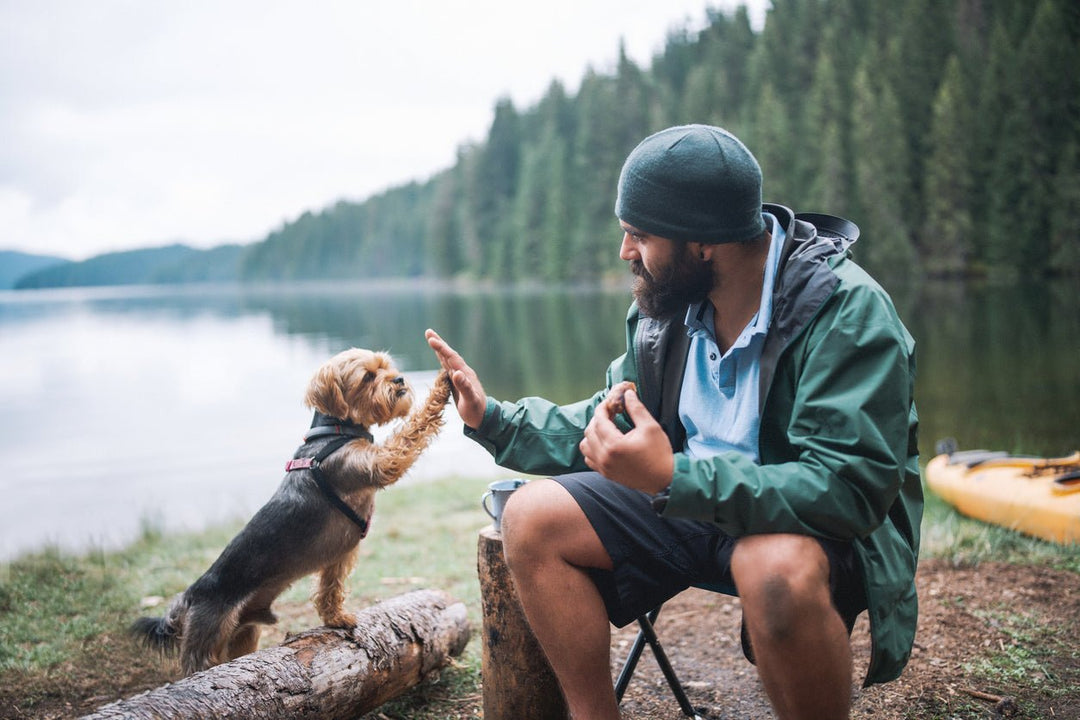 What Is Boondocking and How Do You Do It? - Fenix Store