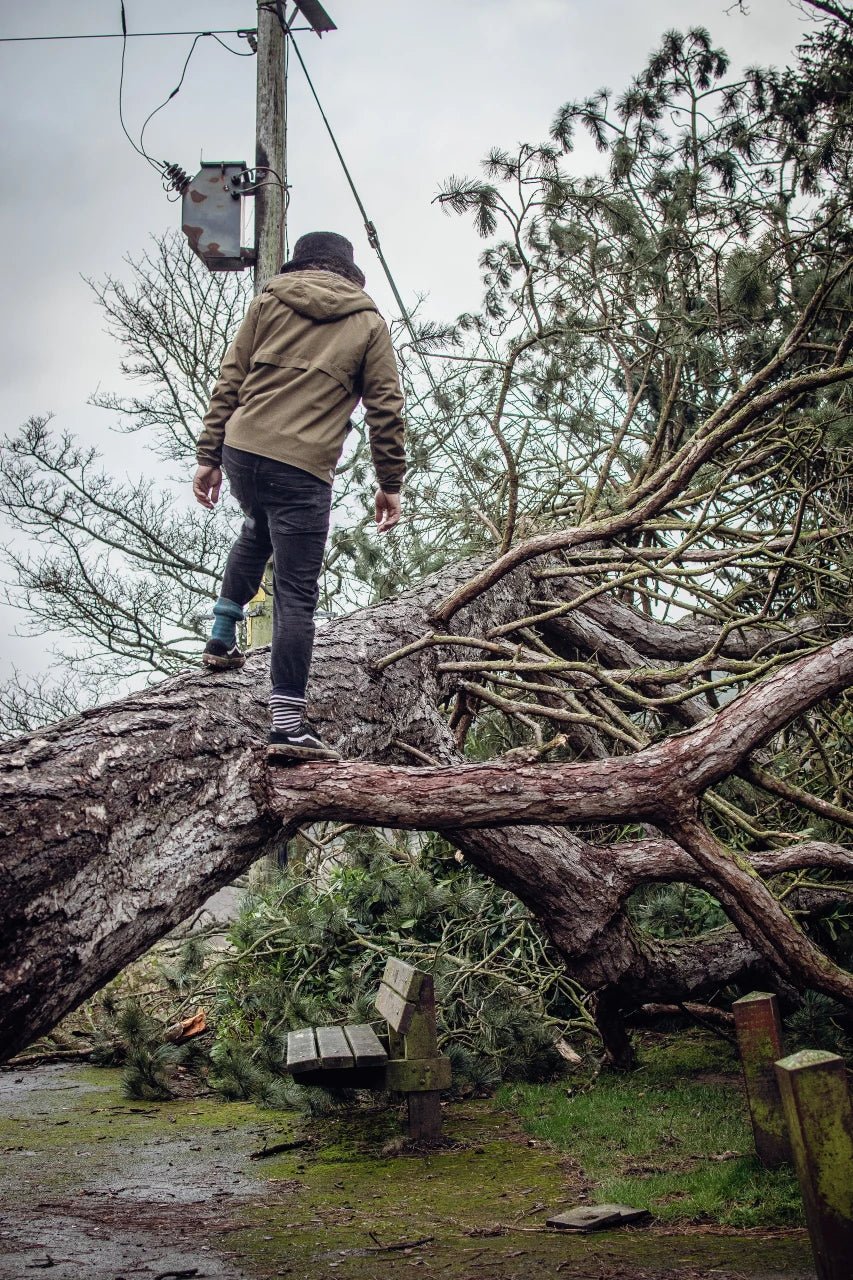 Emergency Preparedness - Fenix Store